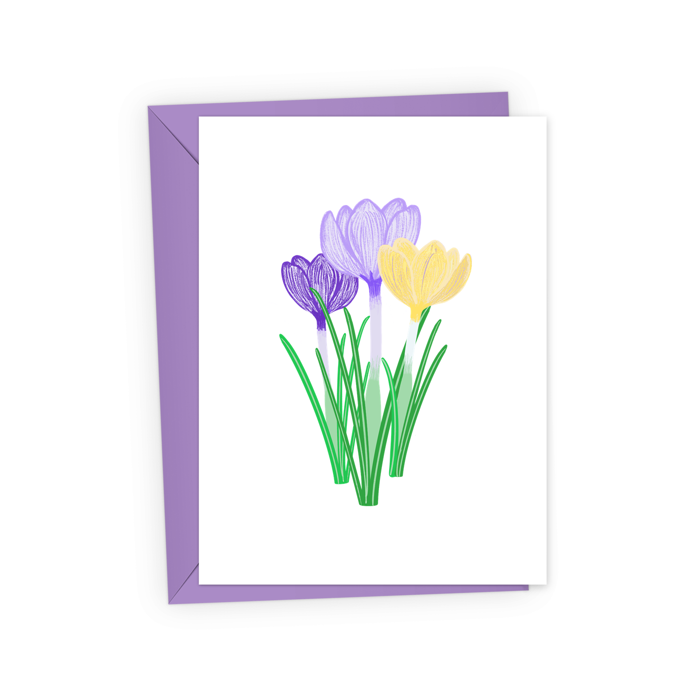 Crocuses