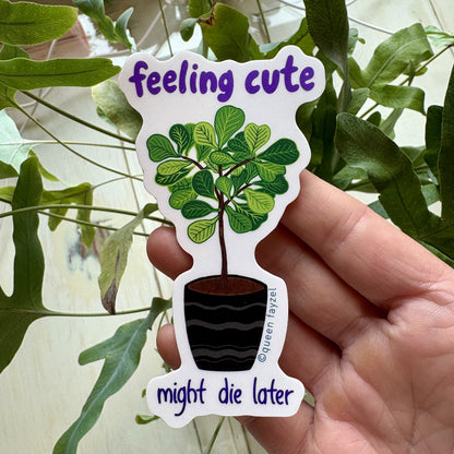Feeling Cute Funny Vinyl Sticker