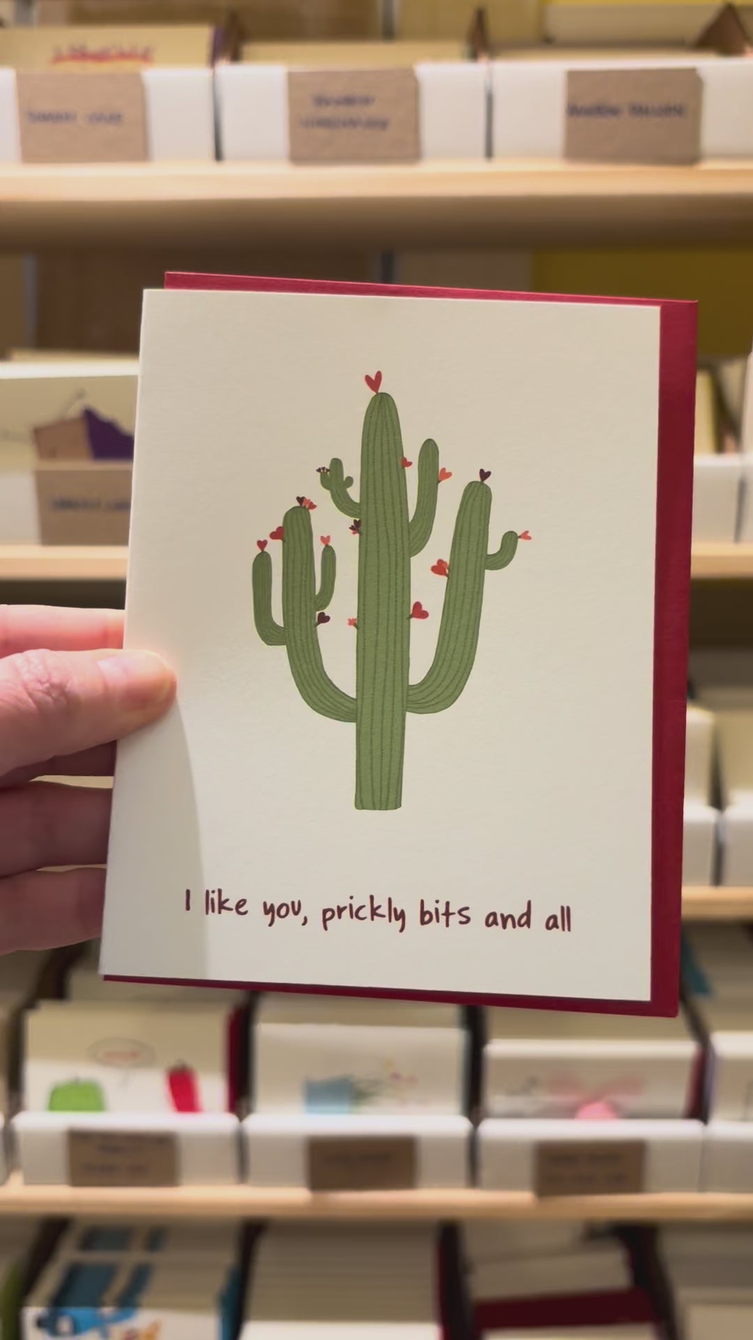 Cute Funny Cactus Valentine &amp; Friendship Card