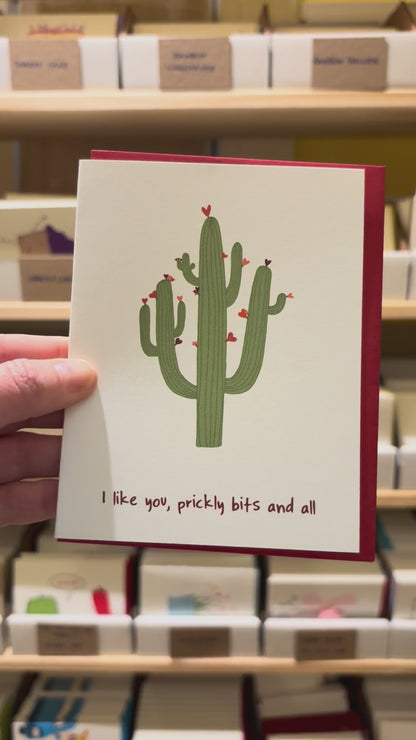 Cute Funny Cactus Valentine &amp; Friendship Card