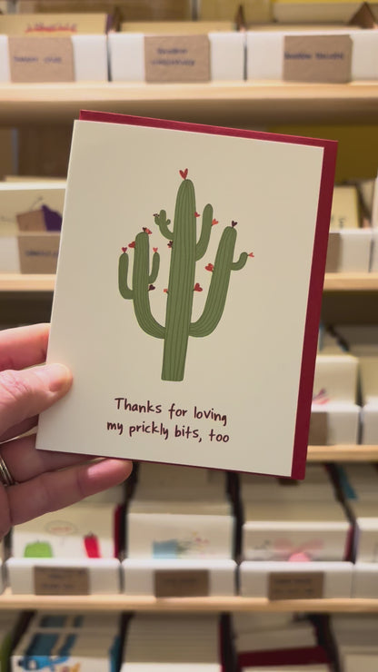 Cute Funny Cactus Valentine &amp; Friendship Card